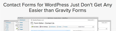 Gravity Forms WordPress plugin