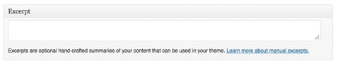 WordPress Excerpt Field